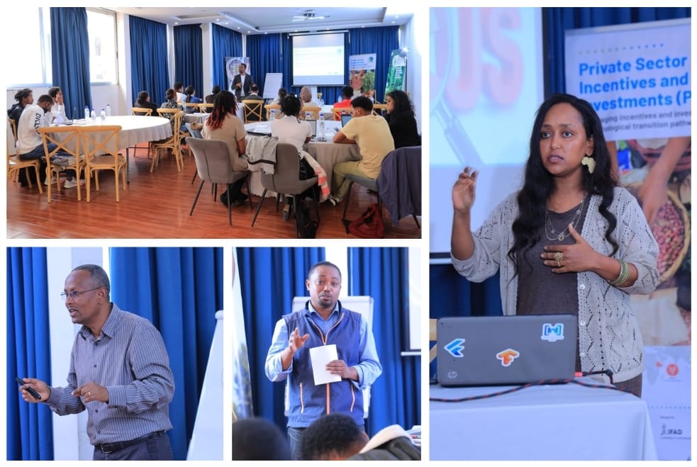 Mentorship for top-10 finalists