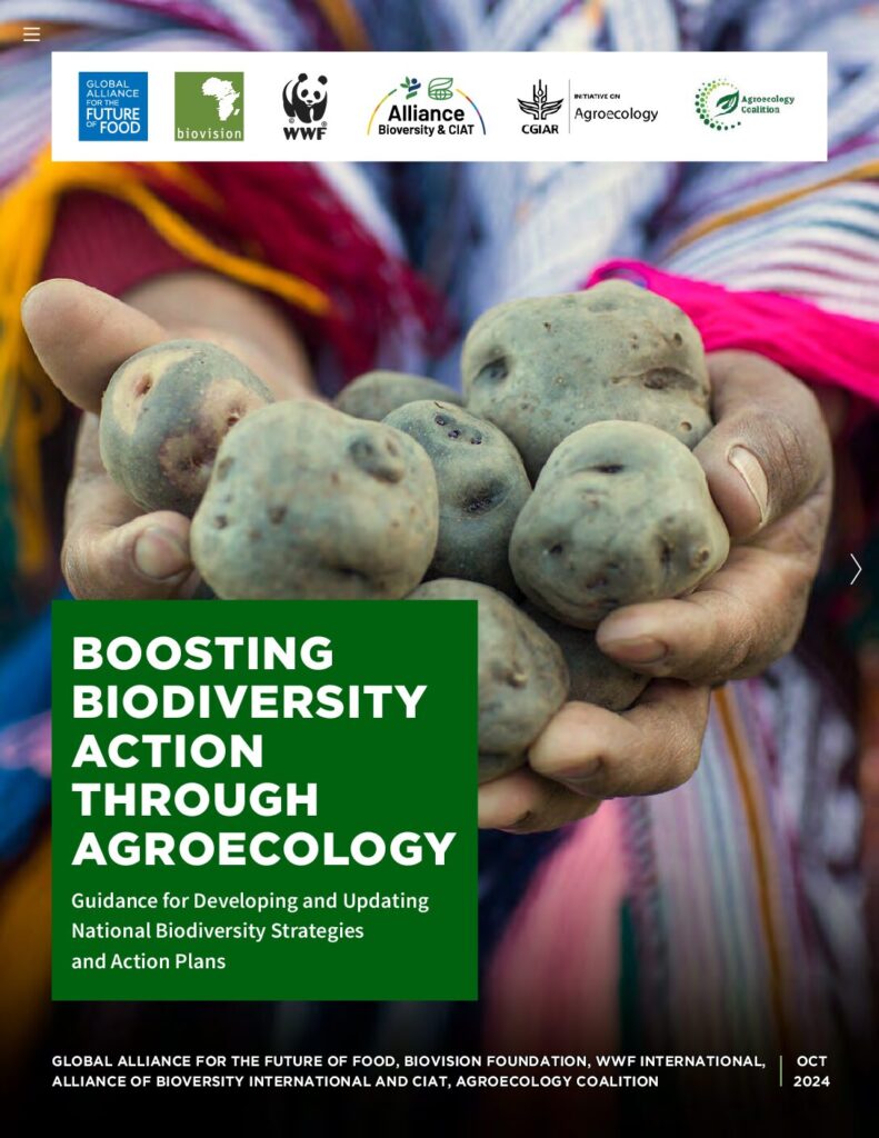 thumbnail of Boosting Biodiversity Action Through Agroecology