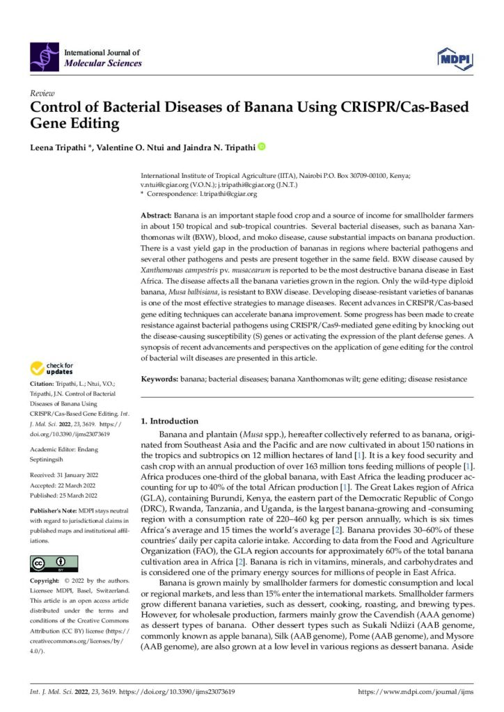 thumbnail of Control of Bacterial Diseases of Banana Using CRISPR-Cas-Based Gene Editing