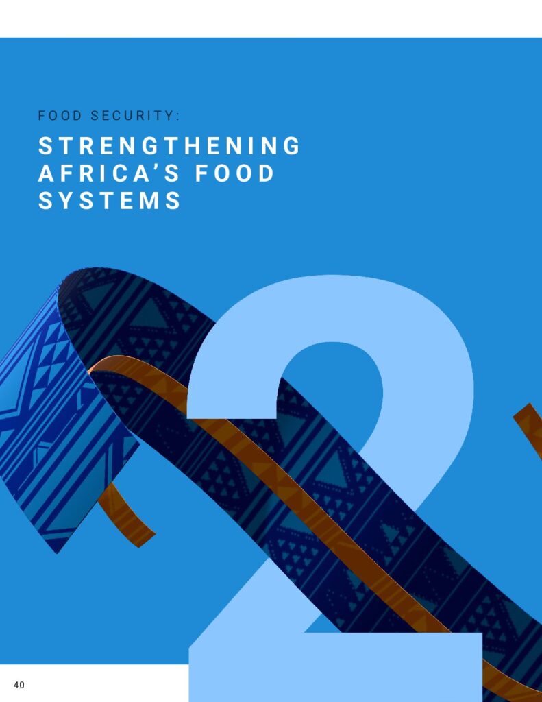 thumbnail of Food Security – Strengthening Africa’s Food System