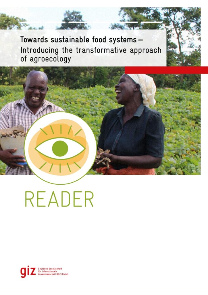 thumbnail of Towards Sustainable Food Systems – Agroecology – GIZ 2024