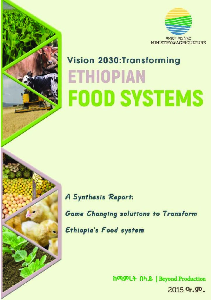 thumbnail of Vision 2030 – Transforming Ethiopian Food Systems – MoA – 2022