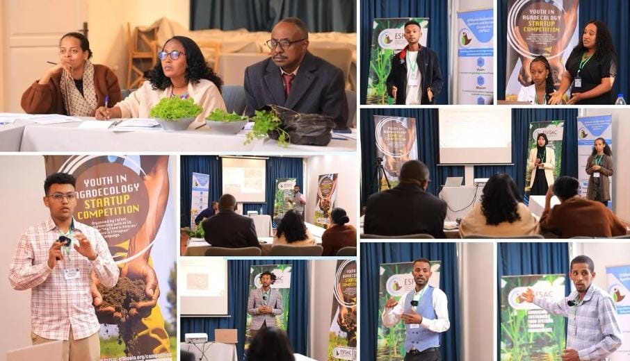 Youth in Agroecology Startup Competition - pitching day