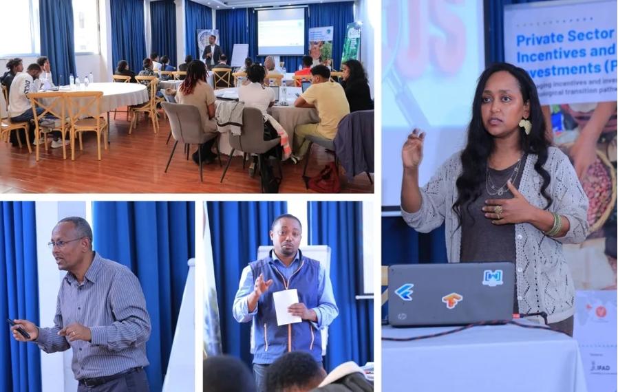 Youth in Agroecology Startup Competition - Coaching and mentorship