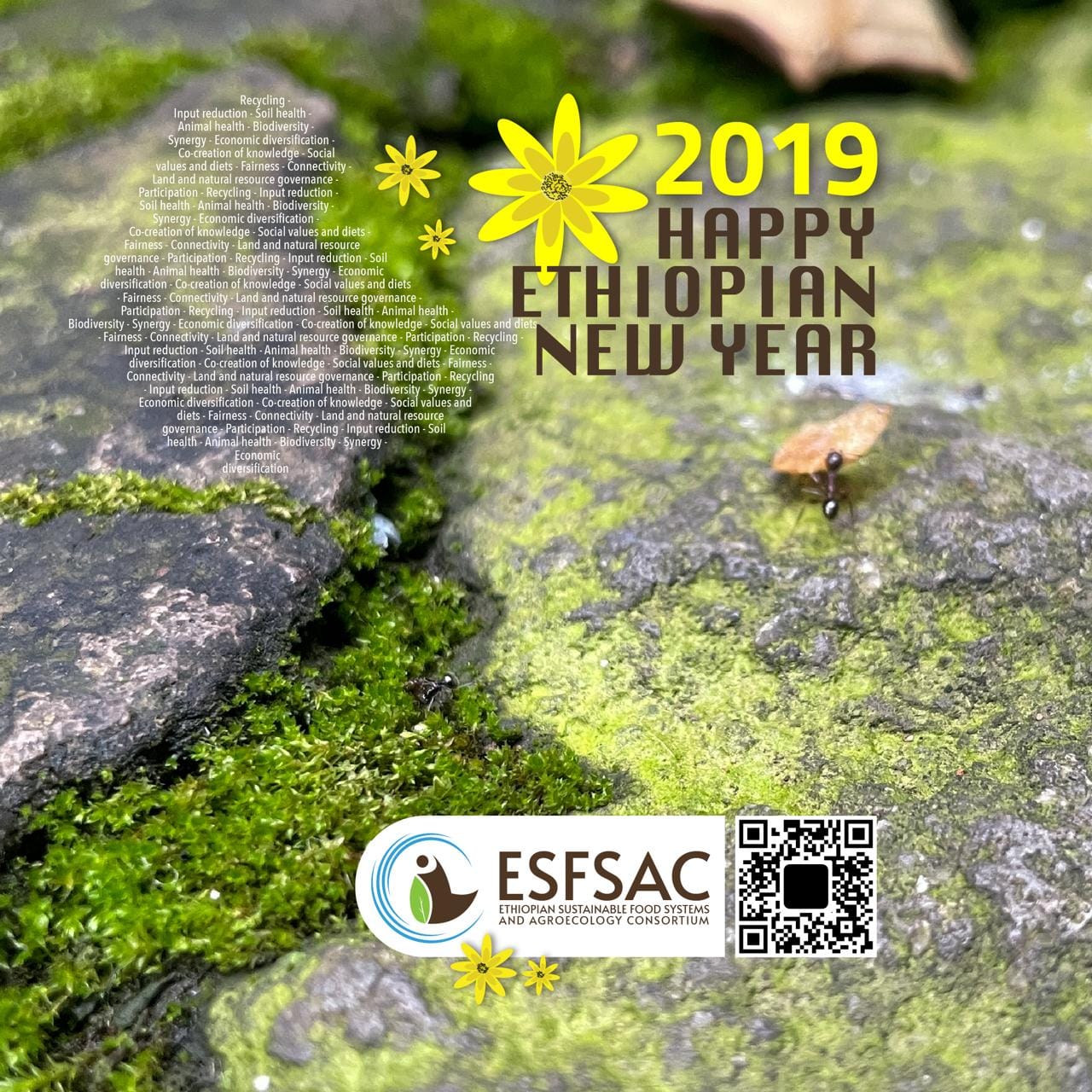 Happy Ethiopian New Year 2019